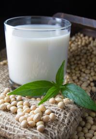 soy milk with soy beans