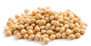 Non-GMO Natto Soybeans - 100% Non-GMO & Patented